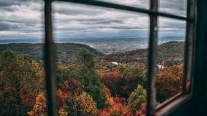 Double Hung Windows In Kansas City