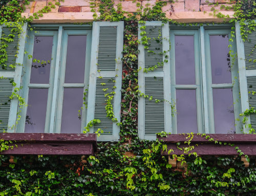 4 Reasons to Replace the Windows in Your Home Now