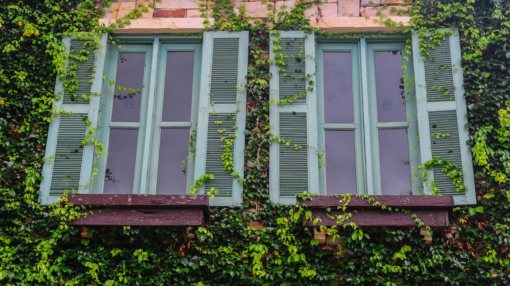 Window Replacement in Kansas City