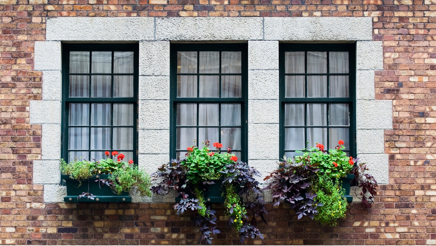 Double Hung Windows in Kansas City 