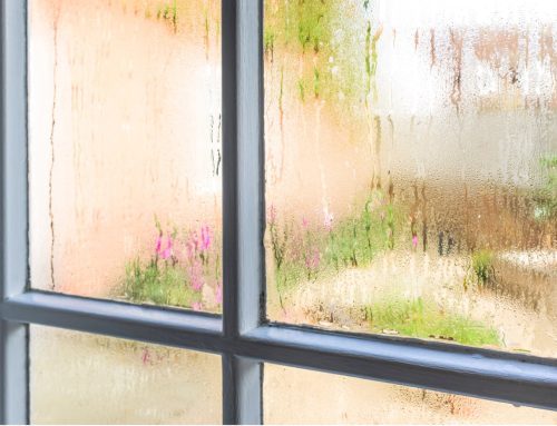 12 Reasons to Replace Your Windows When Remodeling Your Home