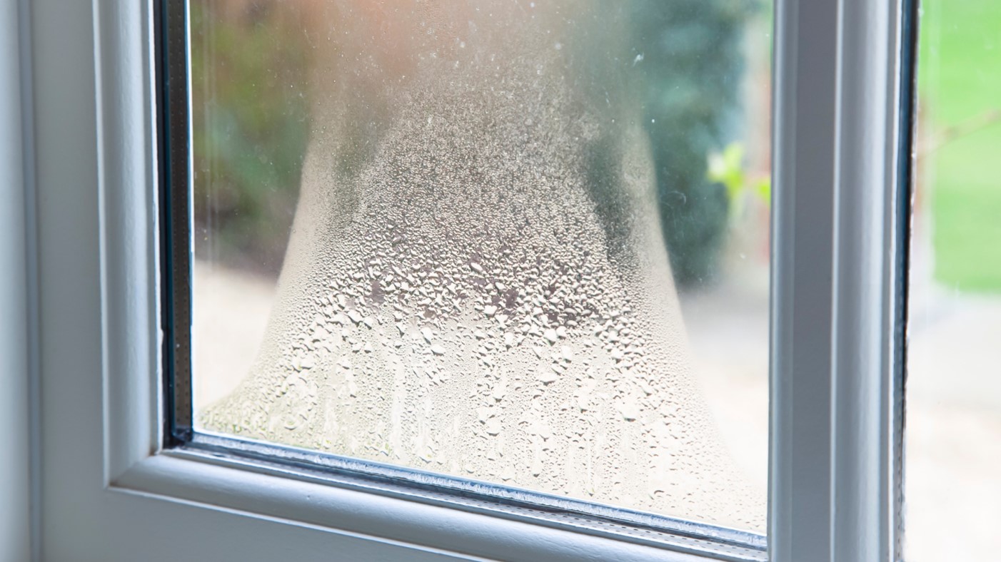 Window Installation in Brookside Kansas City