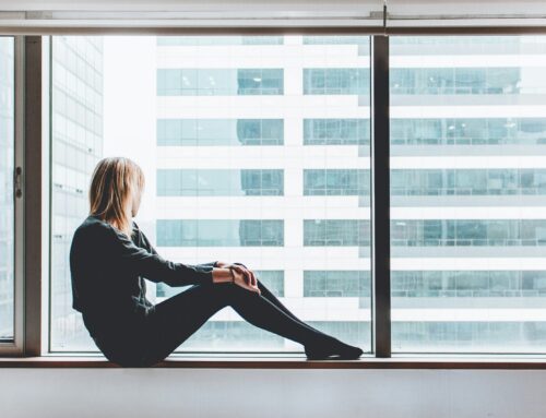 Energy Efficient Windows in Kansas City the Truth About Savings