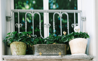 Affordable Windows in Overland Park