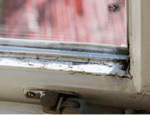 When Is It Really Time for Window Replacement in Overland Park?