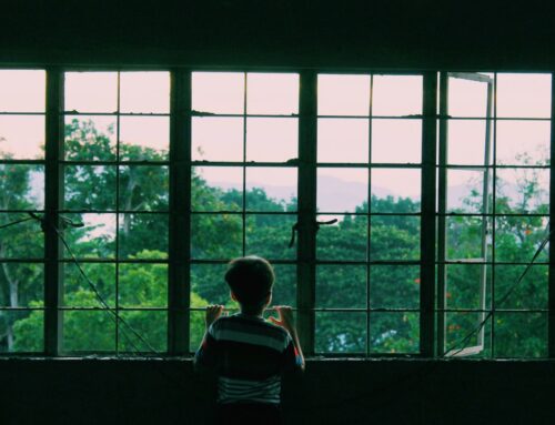 When Window Replacement in Leawood Pays Off