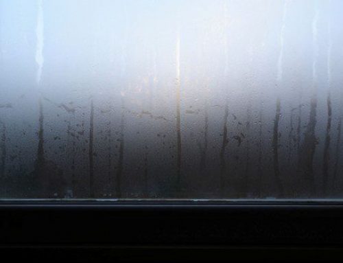 Are Your Windows Getting Old? Here’s What You Should Know About People’s Go-To Window Replacement Company in Overland Park