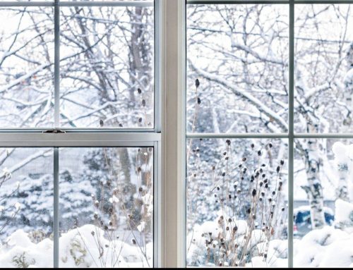 What Window Problems Show Up Most in Olathe Homes?