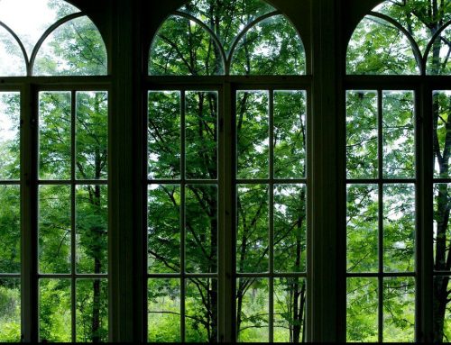 Did You Know Replacing Old Windows Can Help You Save Money? Here’s How